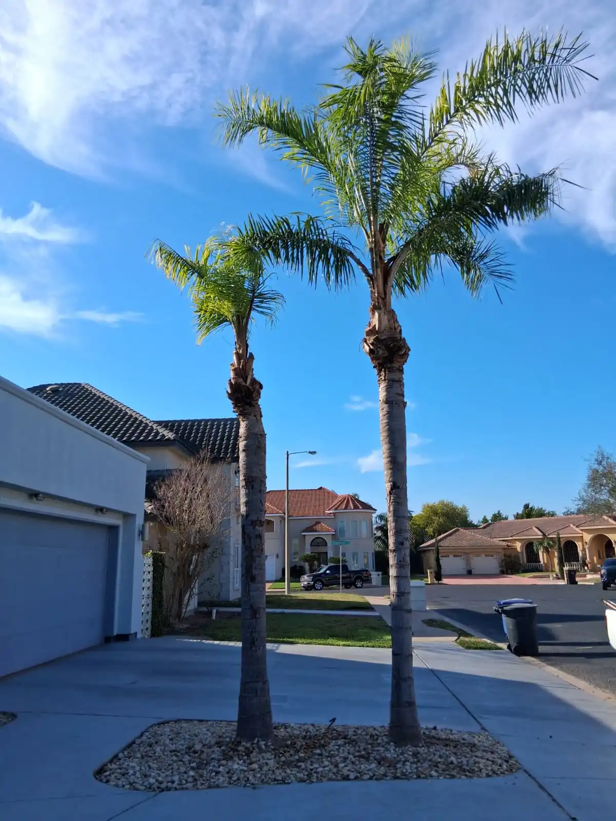 After Our Magic - Palm Cleanup