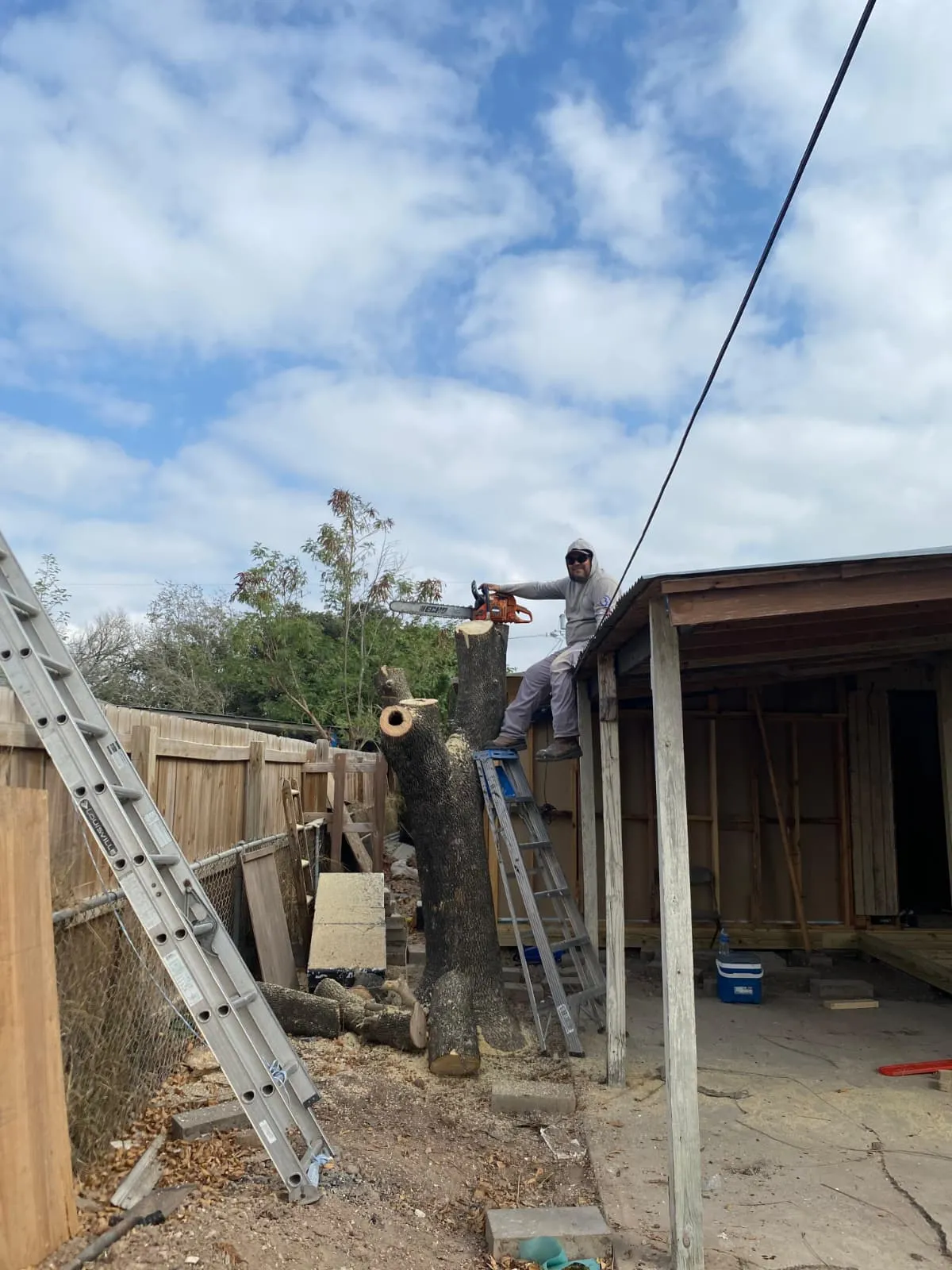 Tree removal in progress