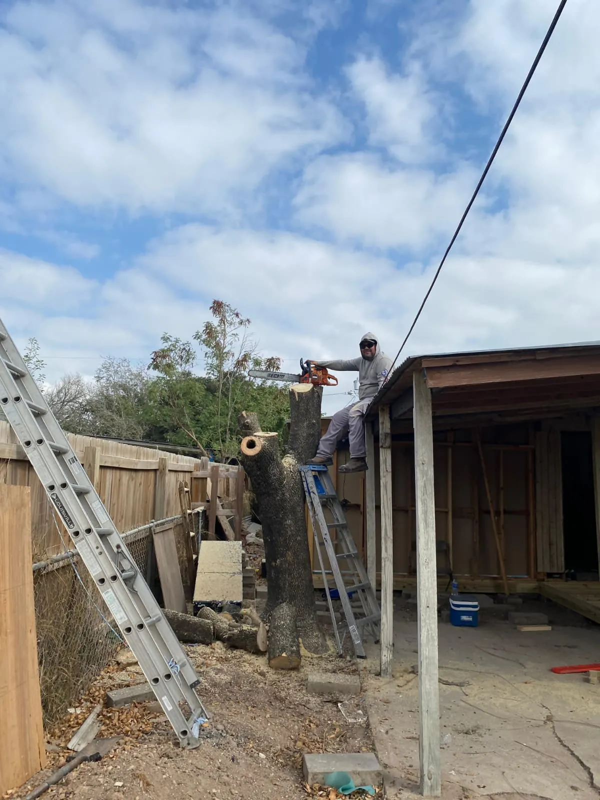 Tree removal in progress