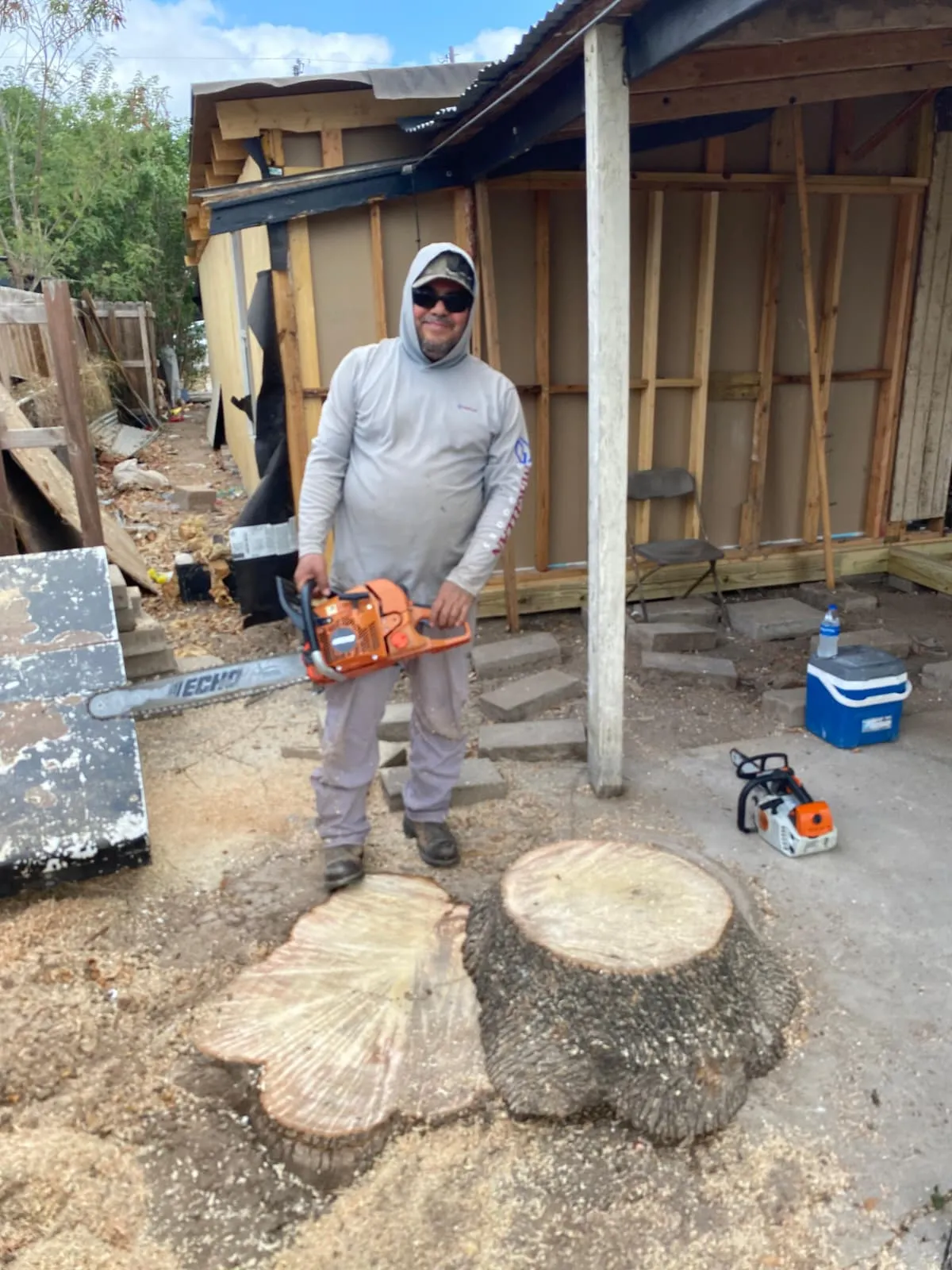 Tree trunk removal service